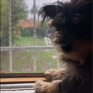 Meet your Posher, Frida